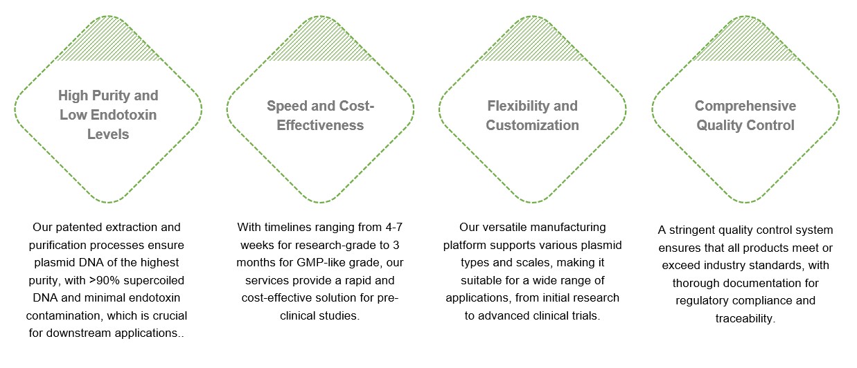 Fig.2 Features of our services. (Creative Biolabs Original)