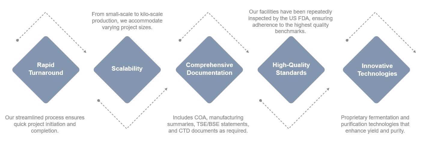 Fig.1 Features of our service. (Creative Biolabs Original)