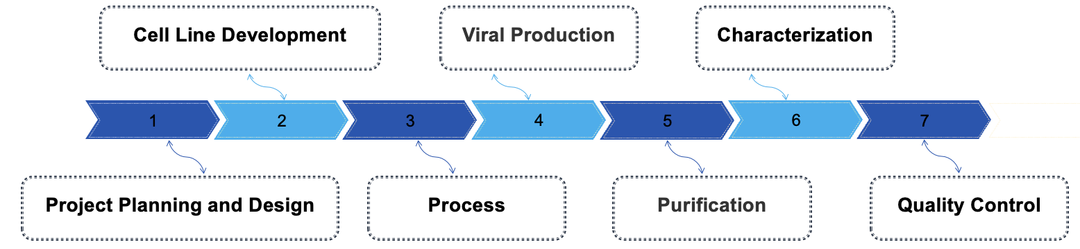 Fig.2 Process. (Creative Biolabs Original)