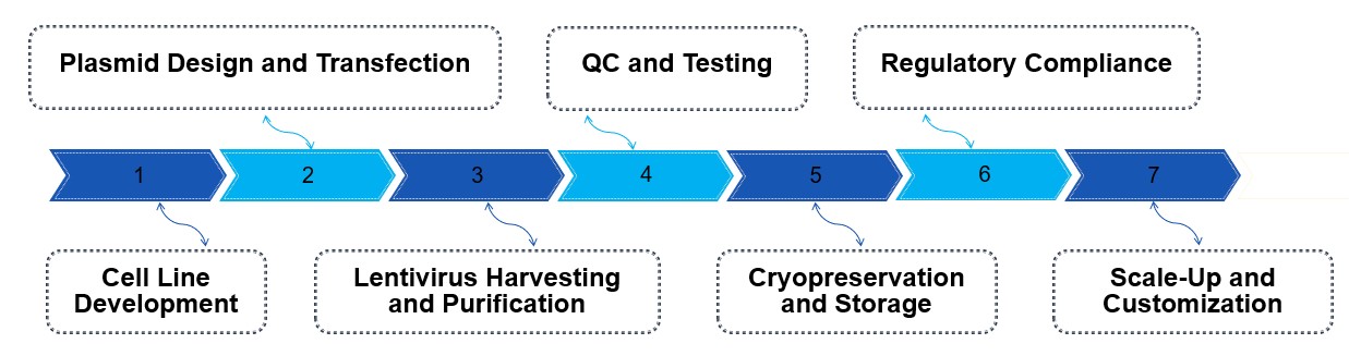 Fig.3 Process. (Creative Biolabs Original)