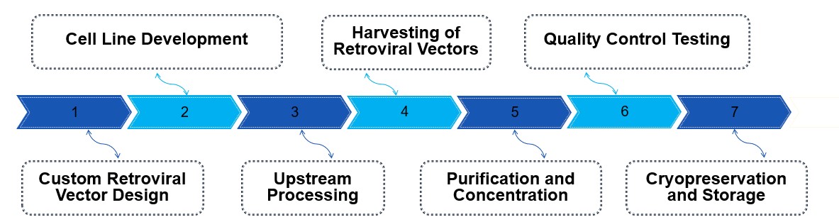 Fig.2 Process. (Creative Biolabs Original)