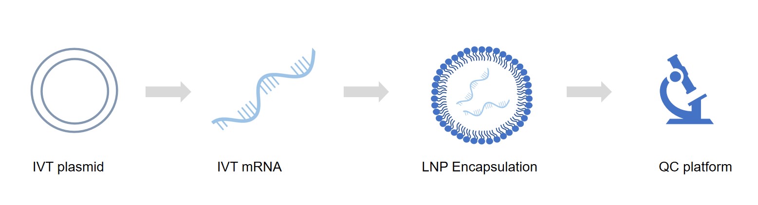 Fig.2 LNP Encapsulation service. (Creative Biolabs original)