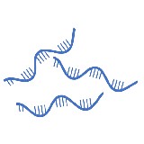 Fig.1 IVT RNA Platform. (Creative Biolabs original)