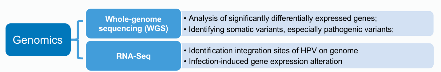 Genetic alterations in tumor and matches organoids are analyzed.