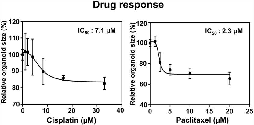 Histological characterization of ESCC and EAC with matched organoid culture.