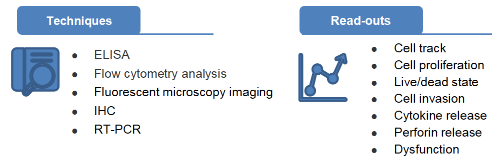 CAR-T Efficacy Test Assay