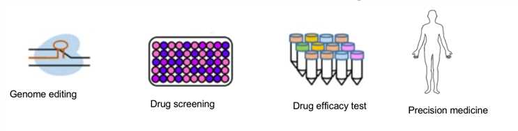 Application of Gastric Cancer Organoids