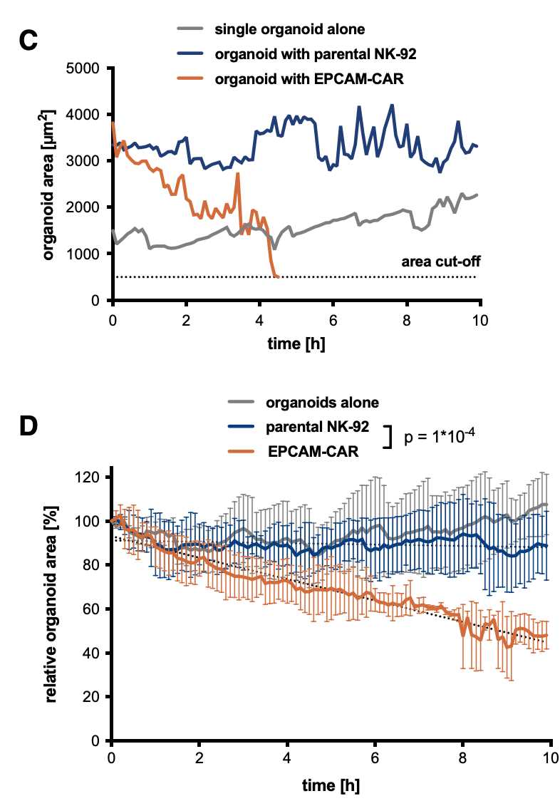 Image analysis of the single organoid area and total organoid area at continuous time points while co-culturing. 