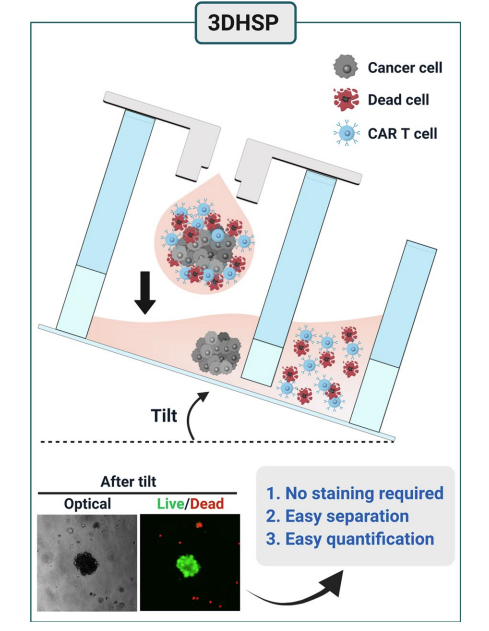 Fig.1 Schematic diagram. (Chen, Zhenzhong et al., 2022)