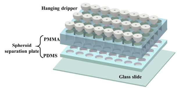 Fig.2 Design of 3DHSP. (Chen, Zhenzhong et al., 2022)