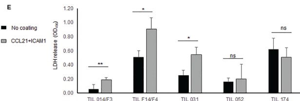 Fig.1 Cytotoxicity of TIL when cultured with CCL21 and ICAM-1. (Yunger, et al., 2023)