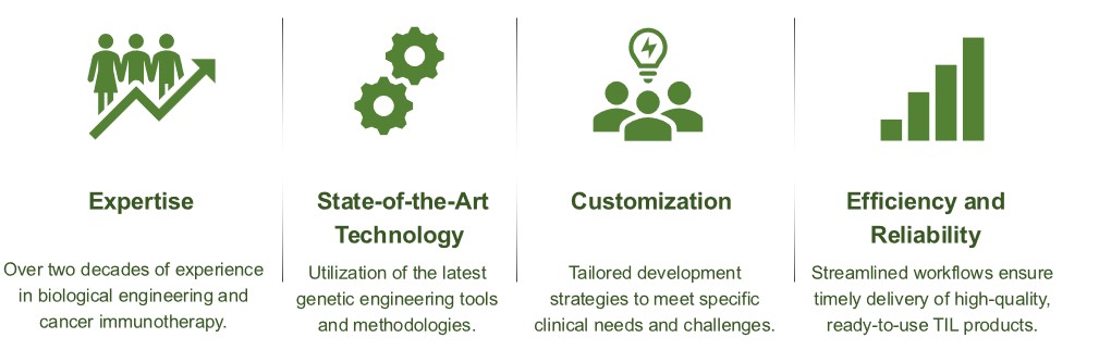 Fig.1 Our service features. (Creative Biolabs Original)