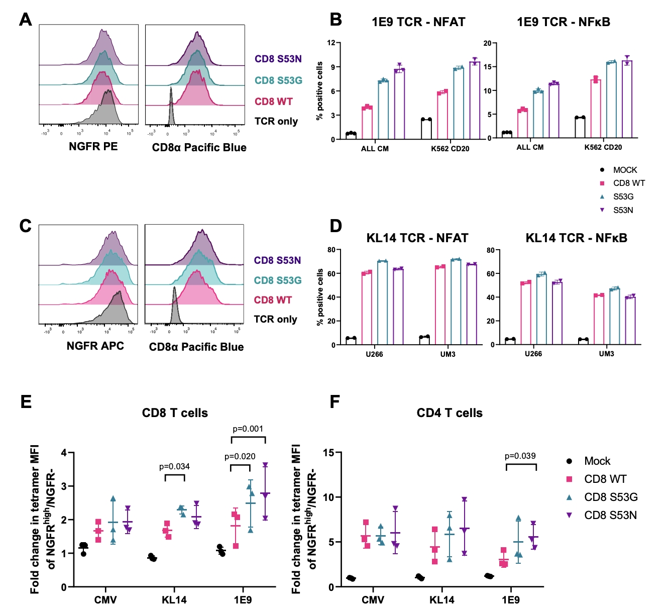 Fig.2：High-Affinity CD8 Variants Enhance Signal Transduction and Tetramer Uptake by Cancer-Targeting TCRs.