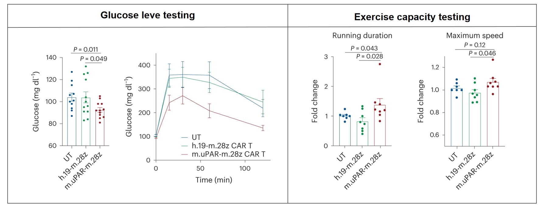 Fig.3 The therapeutic effect of uPAR CAR-T cells in vivo. (Amor, et al., 2024)