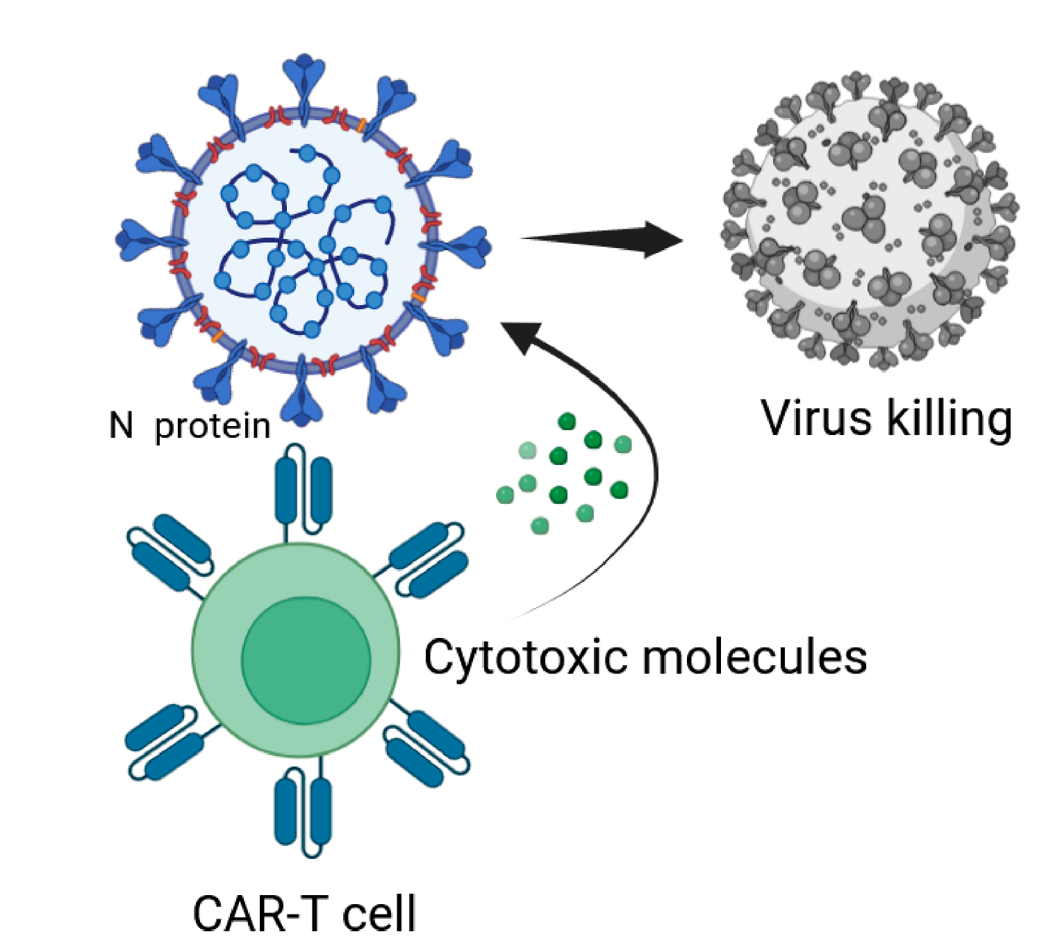 Fig.1 Schematic diagram. (Chen, Zhenzhong et al., 2022)