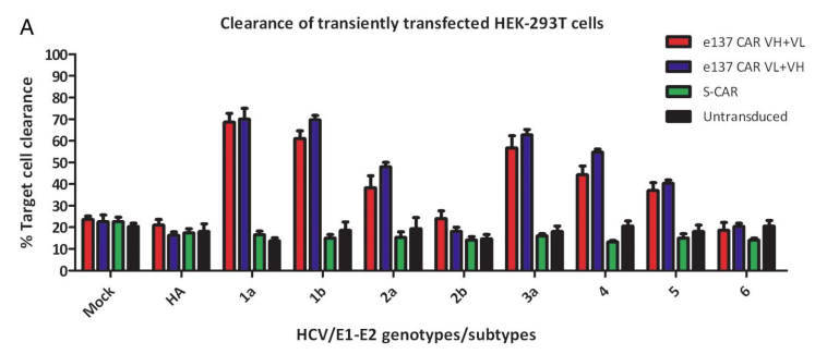 Fig.4 Cytotoxicity test. (Sautto, Giuseppe A et al., 2016