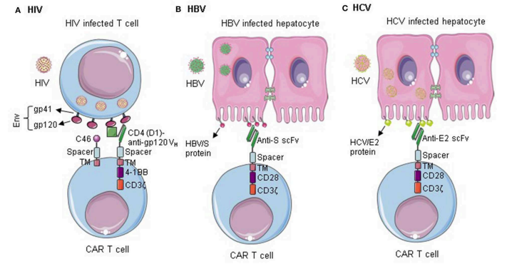 Fig.1 Different infectious diseases. (Seif, Michelle et al., 2019)