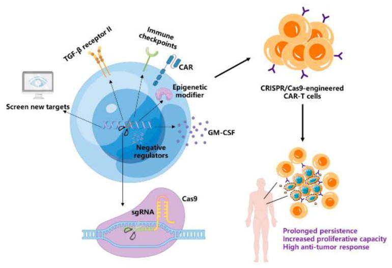 Fig.1 CRISPR technology. (Wei, Wei et al., 2023)