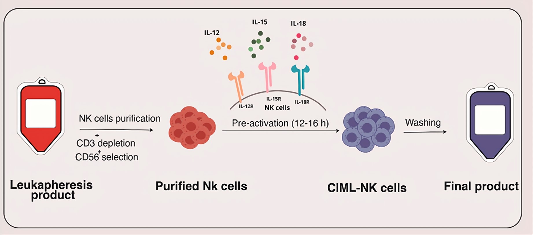 Fig.1 Cytokine-induced memory-like NK cells. (Bakhtiyaridovvombaygi, et al., 2023)