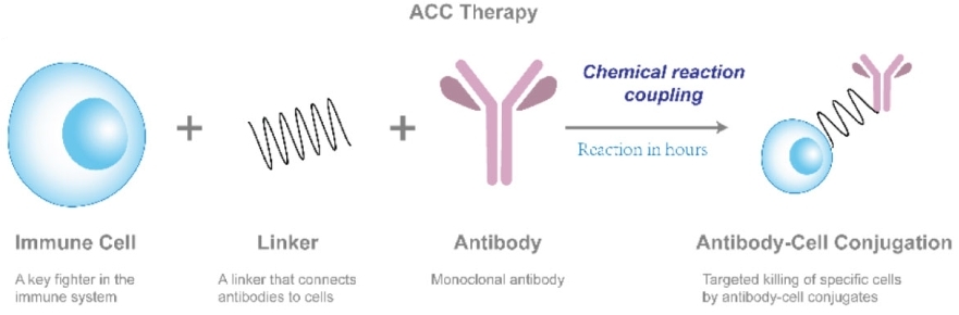 Fig.1 ACC technology. (Ma, et al., 2023)