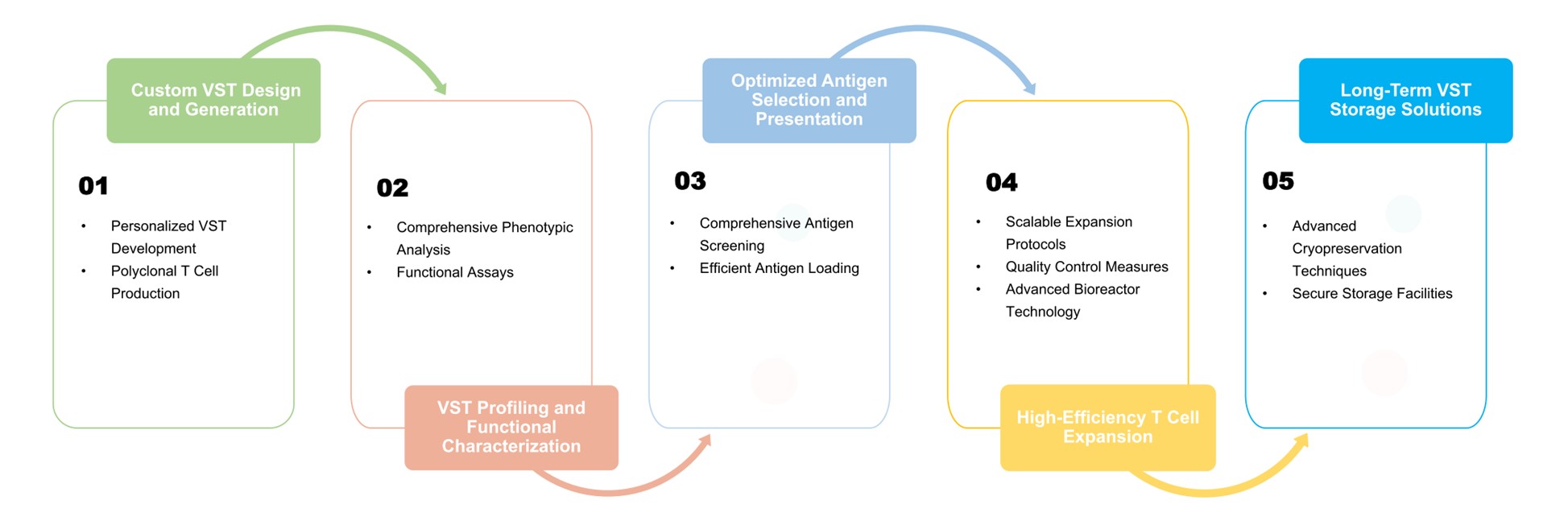 Workflow of VST cell development. (Creative Biolabs Original)