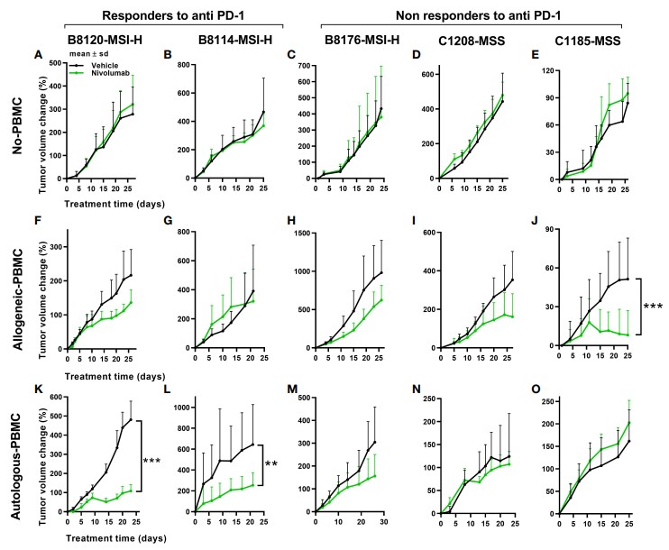 Fig.1 tumor responses to anti-PD-1 therapy.(Kanikarla, et al., 2022)