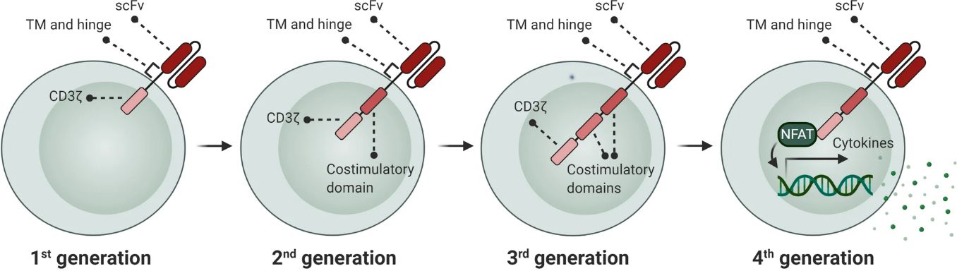 Development of CAR generations (Mansour, 2021)