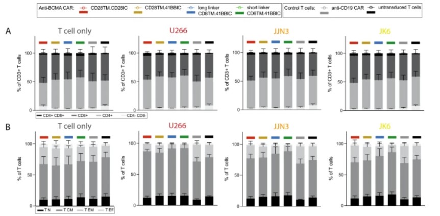 Fig.3 Phenotypic test of BCMA CAR T cells. (Stock, Sophia, et al., 2024)