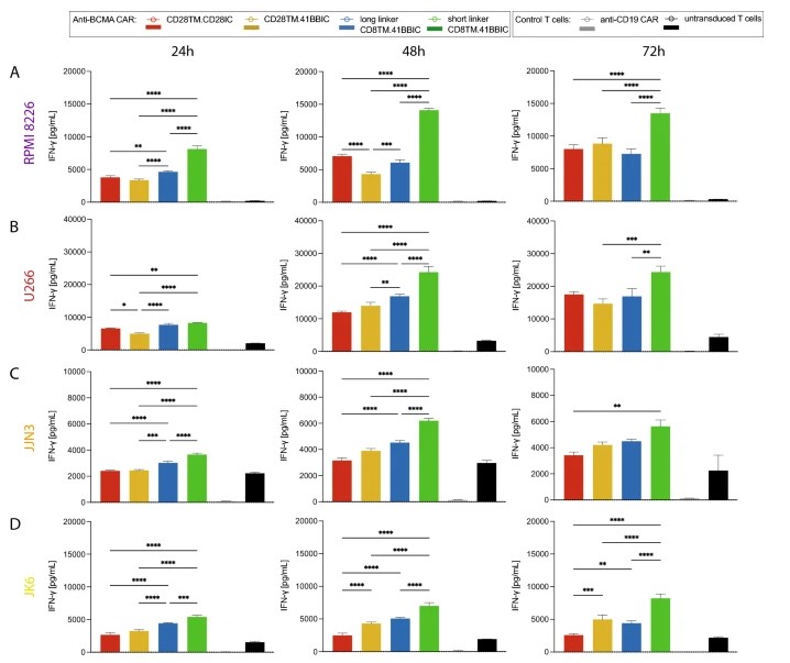 Fig.4 IFN-γ detection of BCMA CART cells. (Stock, Sophia, et al., 2024)