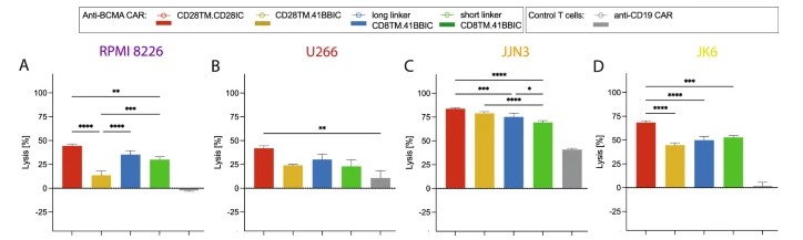 Fig.5 Cytotoxic assay of BCMA CART cells. (Stock, Sophia, et al., 2024)