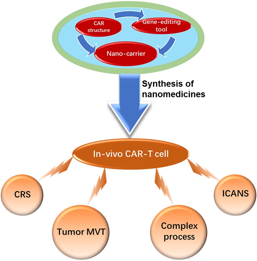 Fig.1 Advantages of in vivo CAR-T therapy. (Xin, et al., 2022)