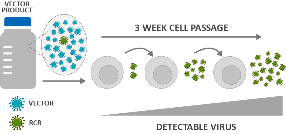 Fig. 1 Biologic assays for RCV detection. (Creative Biolabs Original)