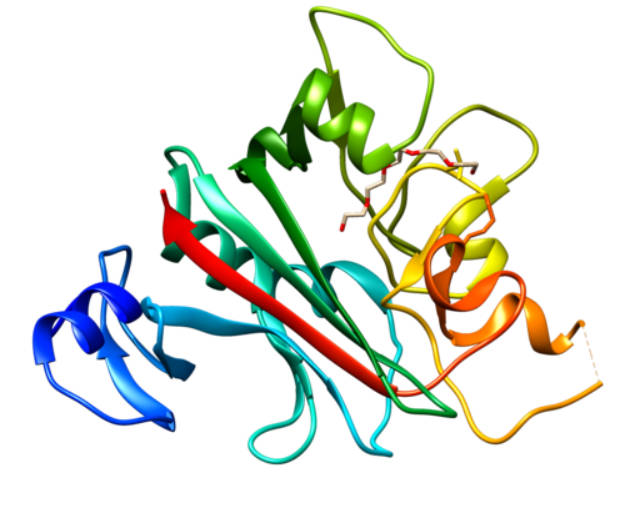 Fig.1 3D predicting structure of ANGPTL4. (By Goultard59, Own work, CC BY-SA 4.0, https://commons.wikimedia.org/wiki/File:ANGPTL4.png)