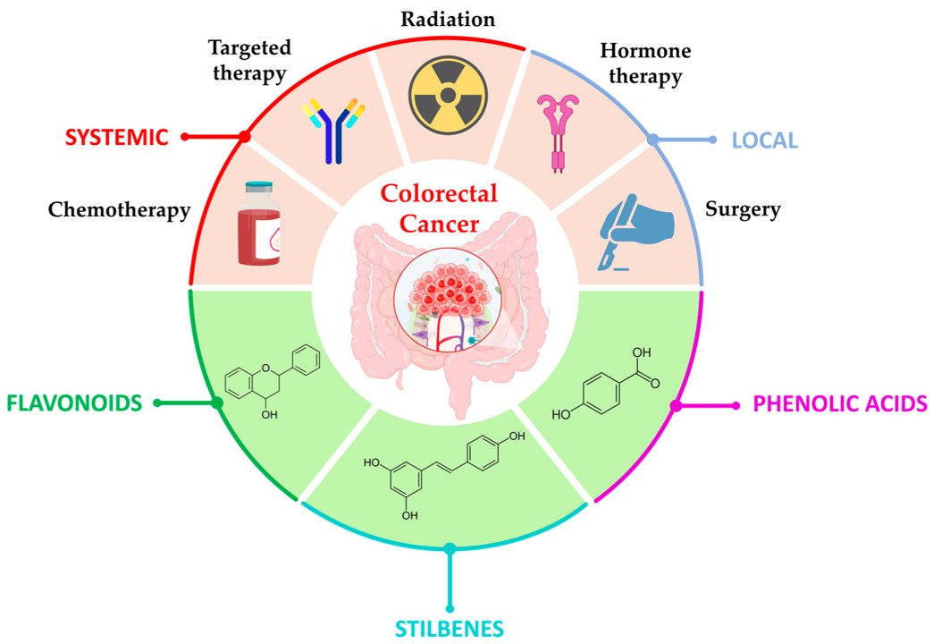 Fig.2 Therapeutic approaches for CRC, with conventional treatment and some types of polyphenols used in CRC treatment. (Wahnou, et al., 2023)