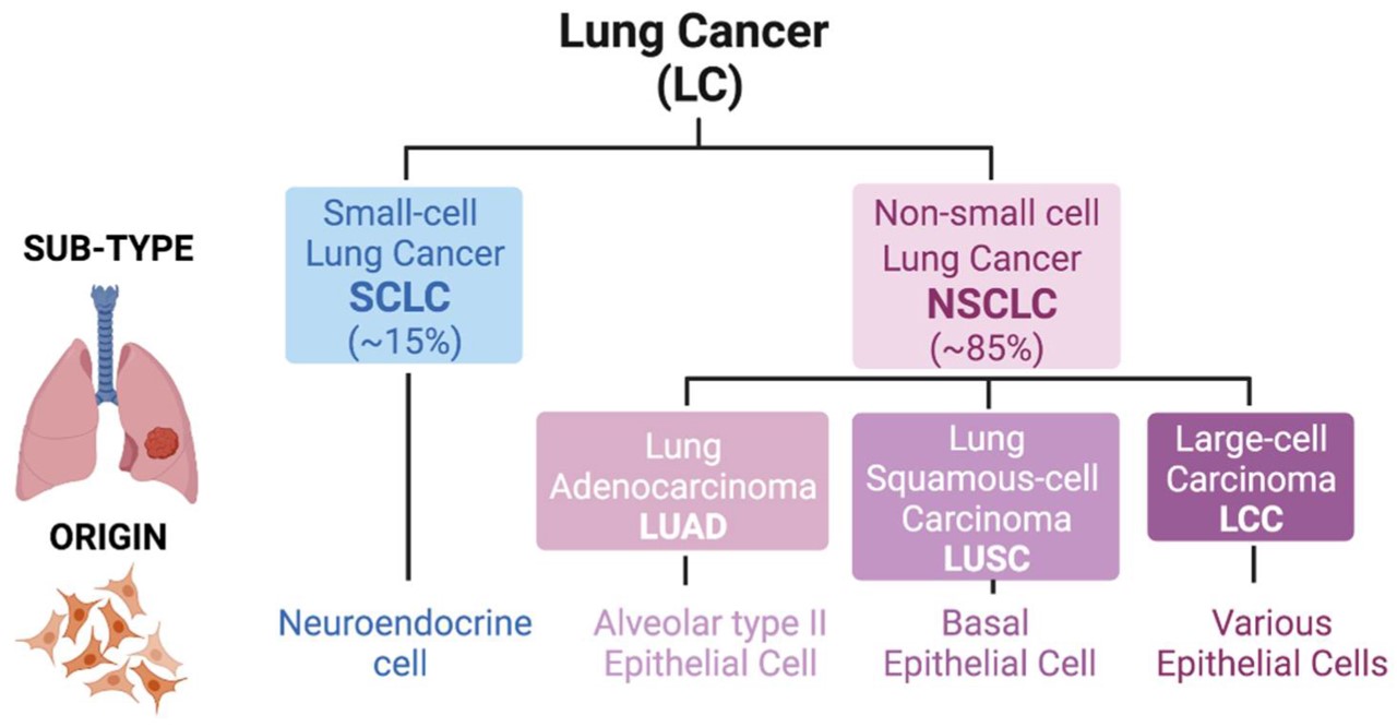 Fig.1 Lung cancer types. (Sánchez-Ortega, Ana and Antonio, 2021)