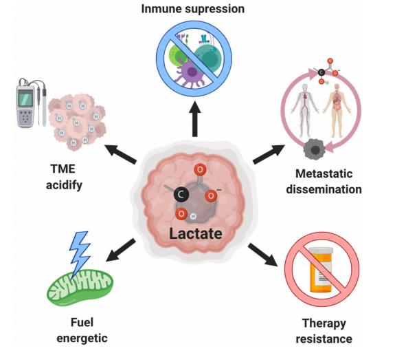 Fig.1 The relationship between Lactate and cancer. (de la Cruz-López, et al., 2019)