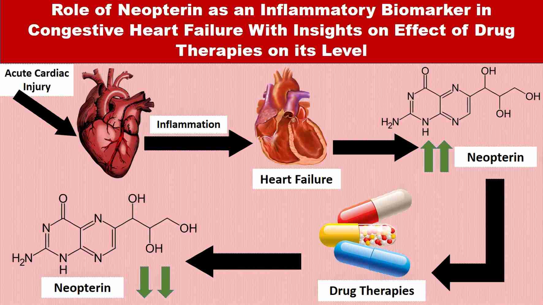 Neopterin as an inflammatory biomarker in congestive heart failure and the impact of drug therapies on its levels. (Dogheim, Amralla & Werida, 2022)