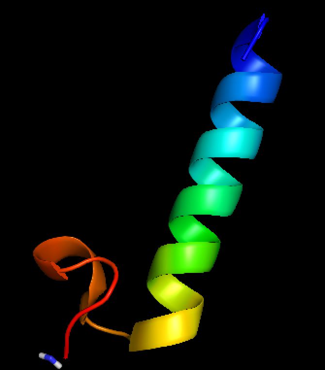 Fig. 1 Procalcitonin structure. (By Abargmann987, Own Work, CC BY-SA 4.0, https://commons.wikimedia.org/wiki/File:A_3D_cartoon_of_calcitonin.png)