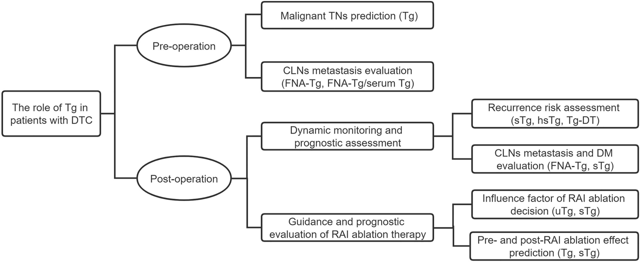 Fig.2 Tg in patients with DTC. (Li, et al., 2022)