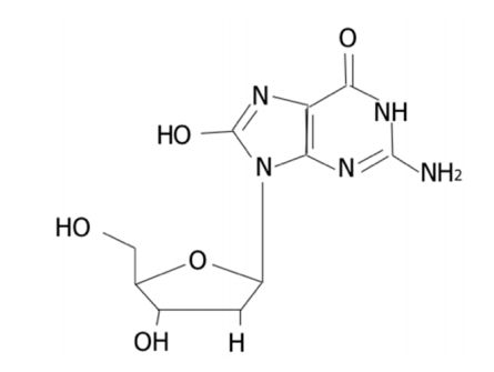 Fig.1 Structural diagram of 8-OHdG. (Graille, et al., 2020)