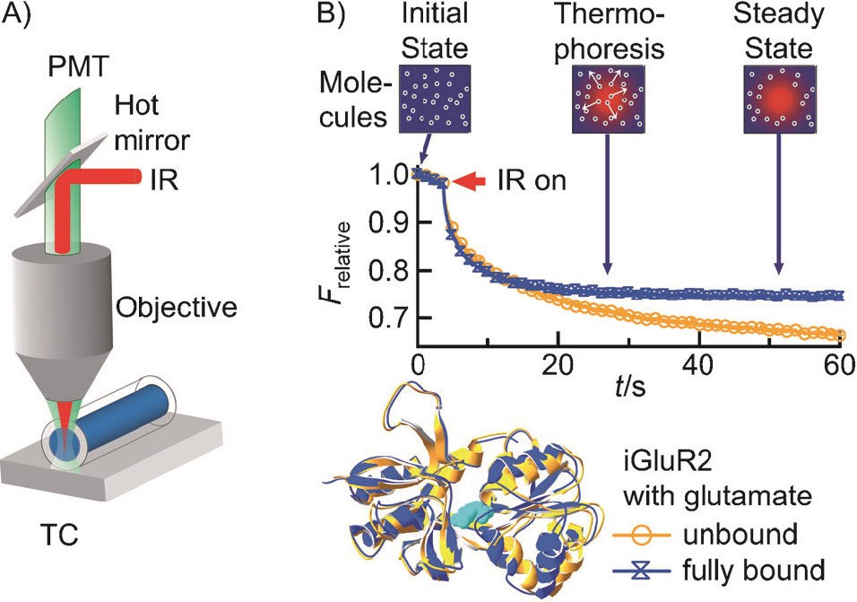 MicroScale Thermophoresis (MST)  Center for Macromolecular Interactions