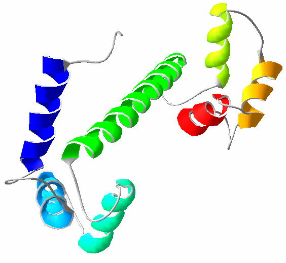 3D structure of Ca2+-bound calmodulin