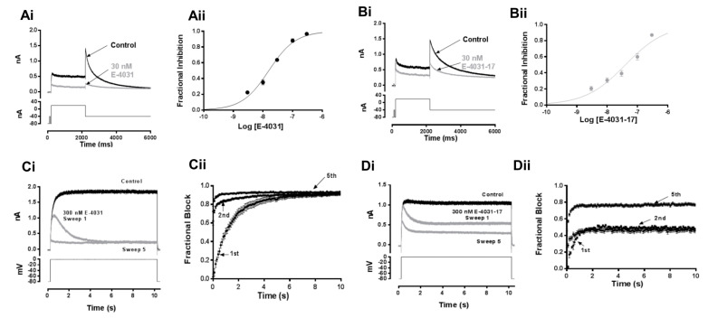 Concentration and time-dependence of IhERG inhibition by E-4031 and E-4031-17. (Matthew V. Helliwell, et al., 2023)