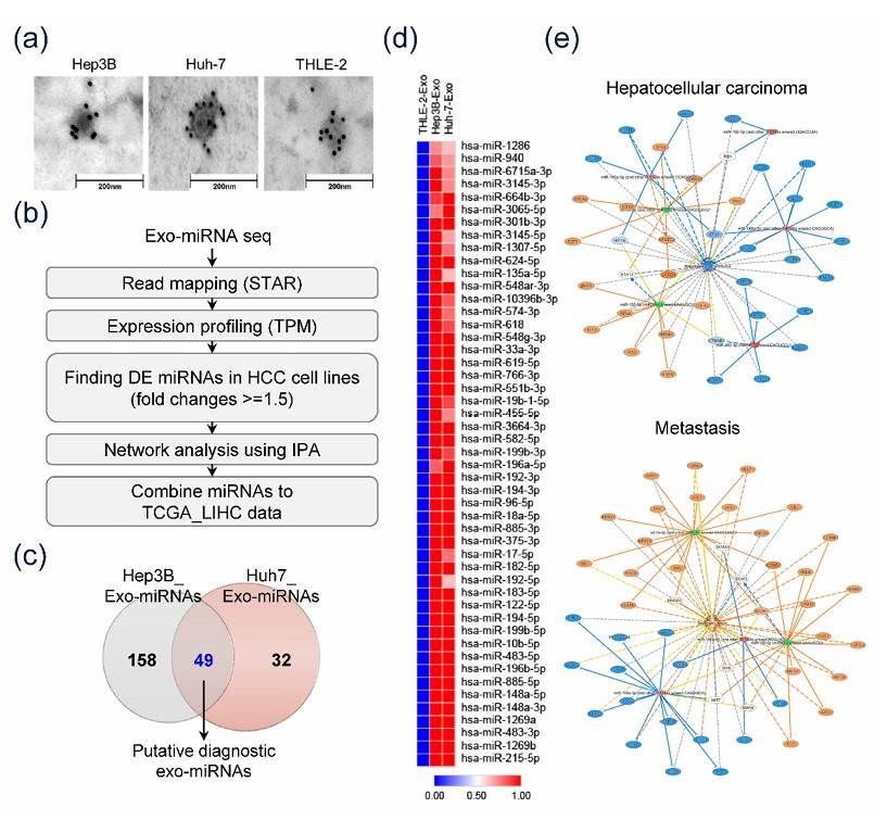 Fig. 2 miRNA sequencing of exo-miRs in hepatocellular carcinoma. (Cho, et al., 2020)