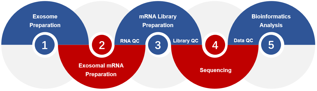 Fig.2 Workflow of exosomal mRNA sequencing.(Creative Biolabs Original)