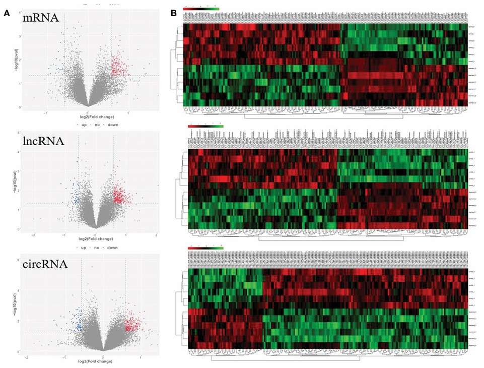 Fig. 2 Microarray screening for significant differential genes. (Lei, et al., 2022)