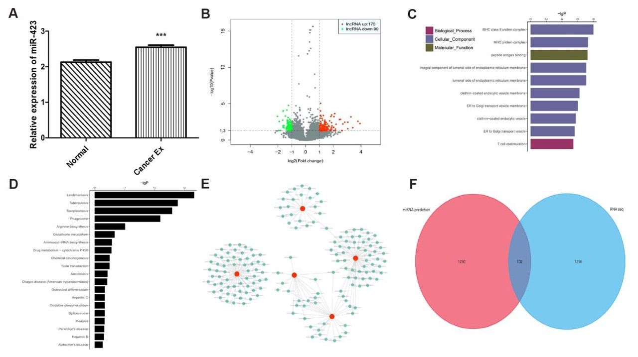 Fig. 2 Exosome transcriptome profile. (Liu, et al., 2022)