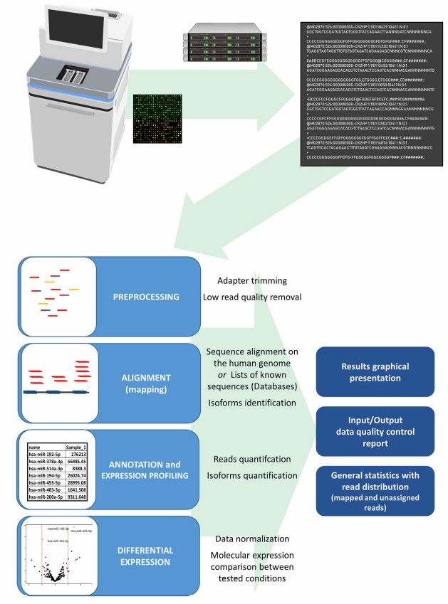 Fig.1 EV miRNA NGS. (Tesovnik, et al., 2021)