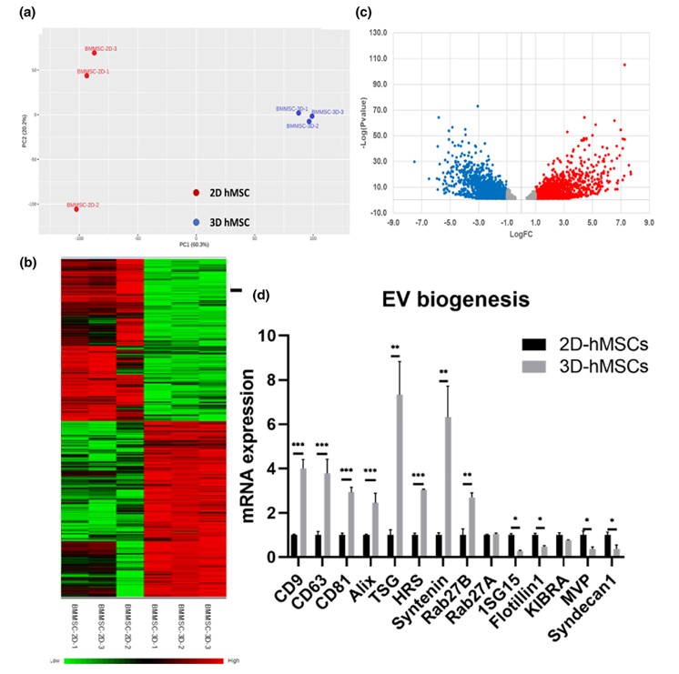 Fig. 2 hMSC EV mRNA sequencing. (Yuan, et al., 2022)