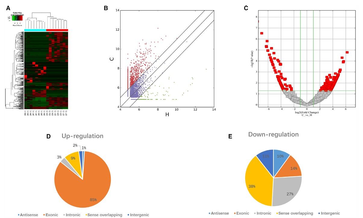 Fig. 2 EV circRNA expression levels in PDAC patients and healthy volunteers. (Li, et al., 2019)